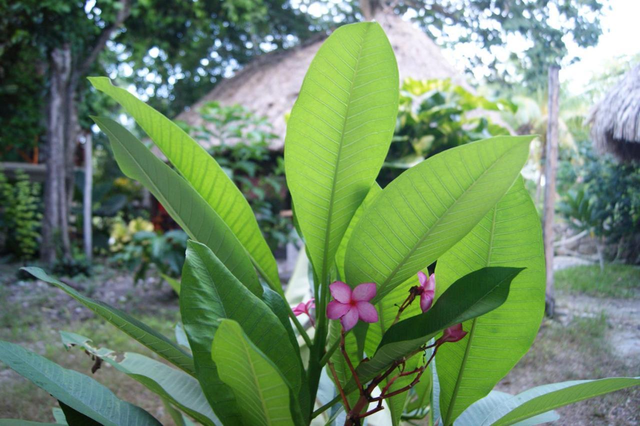 Hotel Pancho Villas Bacalar - Free Bikes And Paddles Bagian luar foto